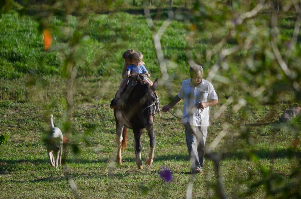 Passeio a cavalo com crianças pela fazenda